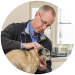 Owner Russell Brewer - Care Animal Hospital customer testimonial